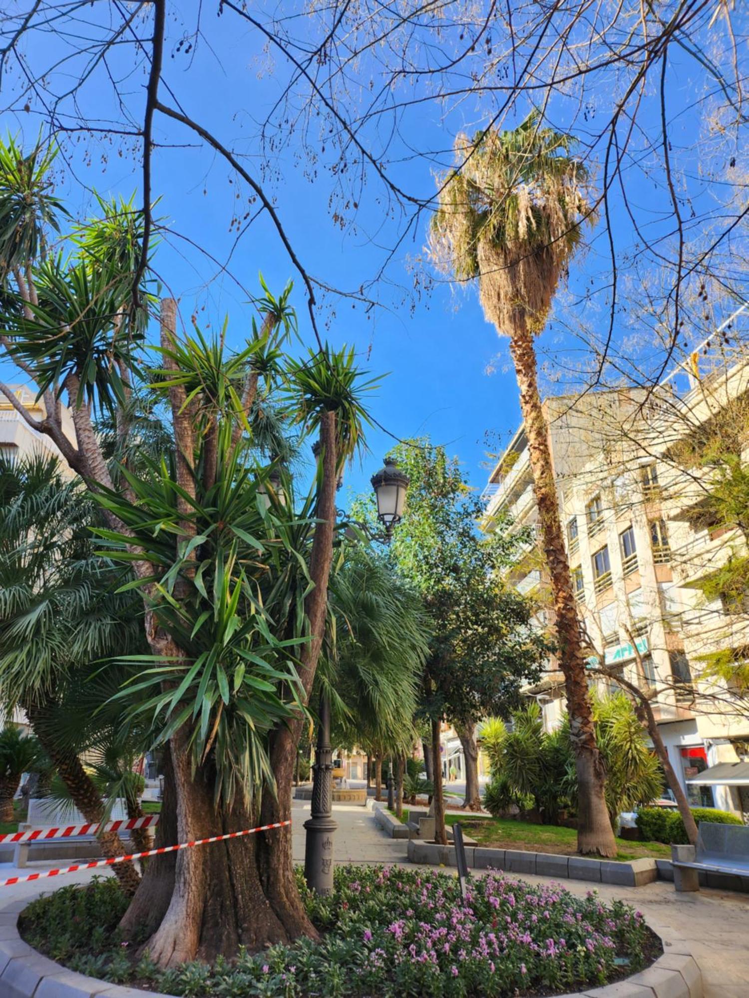 Apartament De 3 Jardinillos Centro